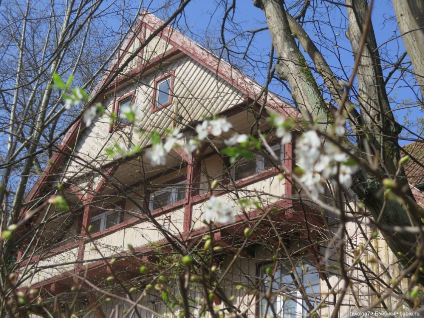 Эльха-Ариэль на Балтике — Туризм и путешествия: фотоотчеты из поездок