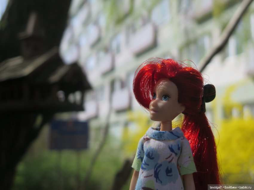 Эльха-Ариэль на Балтике — Туризм и путешествия: фотоотчеты из поездок