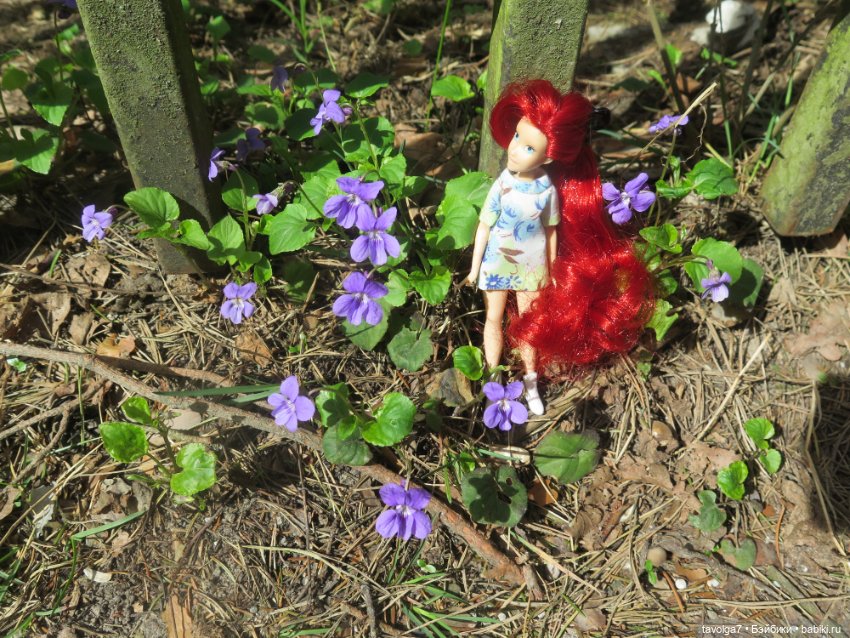 Эльха-Ариэль на Балтике — Туризм и путешествия: фотоотчеты из поездок