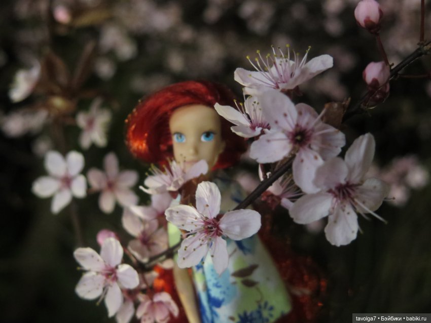 Эльха-Ариэль на Балтике — Туризм и путешествия: фотоотчеты из поездок