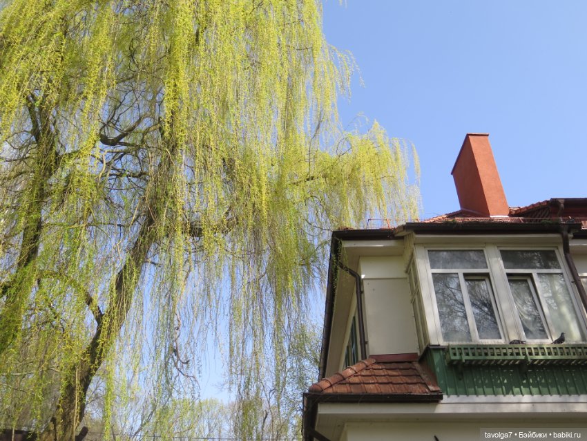 Эльха-Ариэль на Балтике — Туризм и путешествия: фотоотчеты из поездок