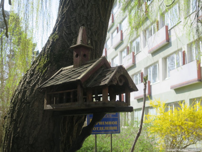 Эльха-Ариэль на Балтике — Туризм и путешествия: фотоотчеты из поездок