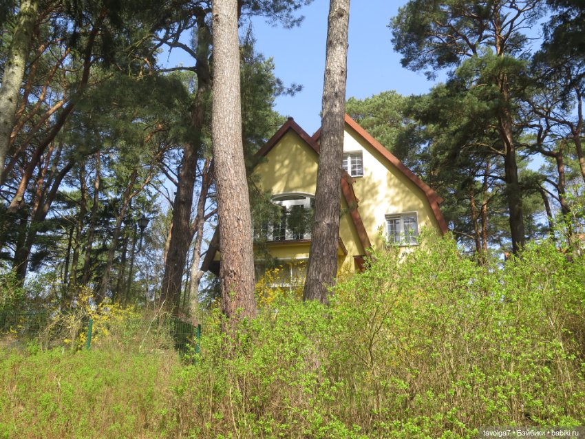 Эльха-Ариэль на Балтике — Туризм и путешествия: фотоотчеты из поездок