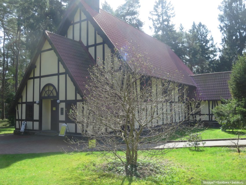 Эльха-Ариэль на Балтике — Туризм и путешествия: фотоотчеты из поездок