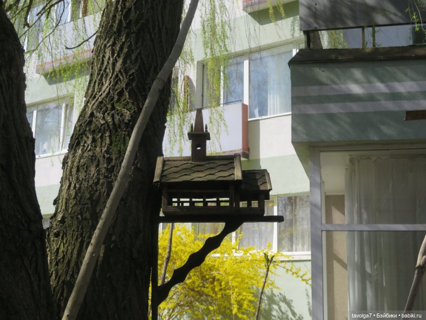 Эльха-Ариэль на Балтике — Туризм и путешествия: фотоотчеты из поездок