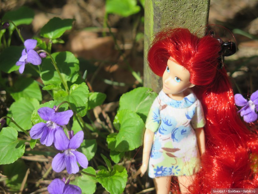 Эльха-Ариэль на Балтике — Туризм и путешествия: фотоотчеты из поездок