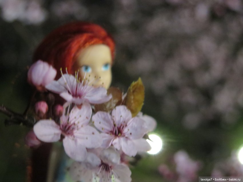 Эльха-Ариэль на Балтике — Туризм и путешествия: фотоотчеты из поездок