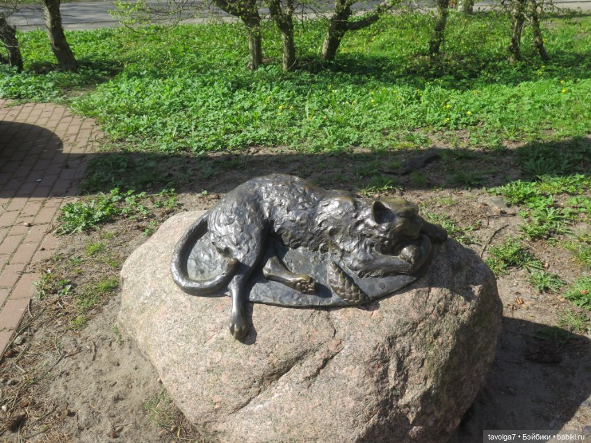 Эльха-Ариэль на Балтике — Туризм и путешествия: фотоотчеты из поездок