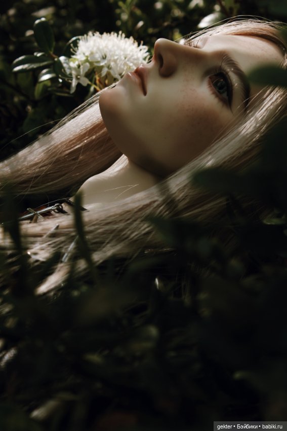 🌿 Чёрный лес 🌿 — Куклы 5th Motif: корейские BJD (БЖД)