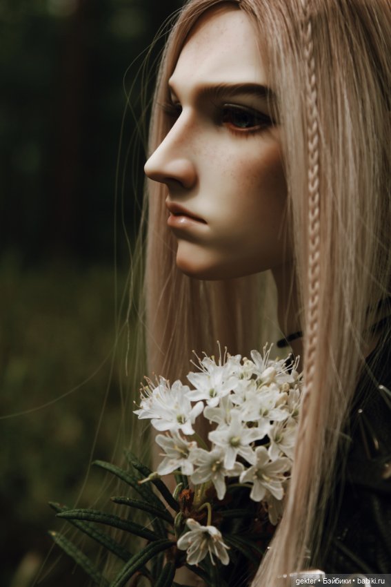 🌿 Чёрный лес 🌿 — Куклы 5th Motif: корейские BJD (БЖД) (фото 8)