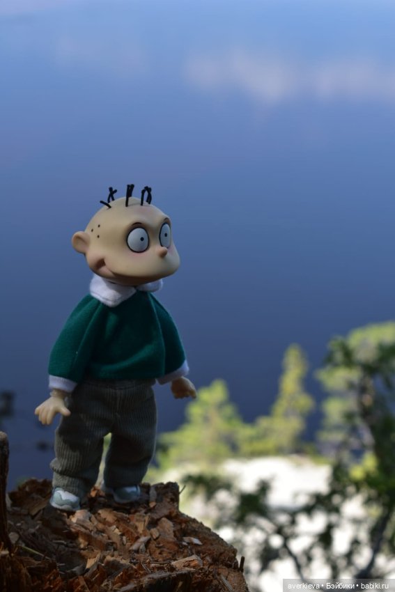 Скала Курга. Архангельская область (фото 4)