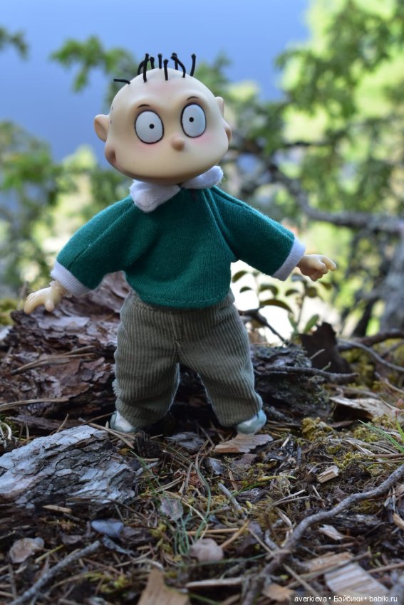 Скала Курга. Архангельская область