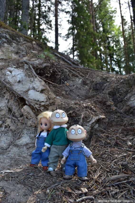 Скала Курга. Архангельская область (фото 9)