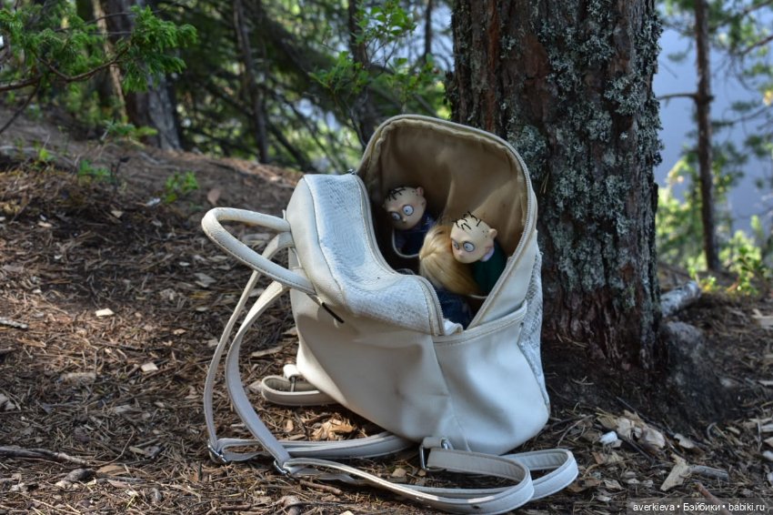 Скала Курга. Архангельская область (фото 6)