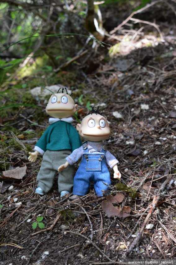 Скала Курга. Архангельская область (фото 3)