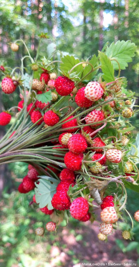 Лисичка с косичками — Куклы Julie Good Kruger (Джулия Гуд Крюгер): винил