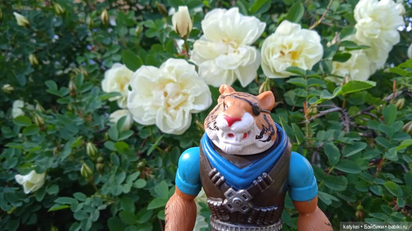 Куто и цветочки — Разные шарнирные куклы (не БЖД): редкие