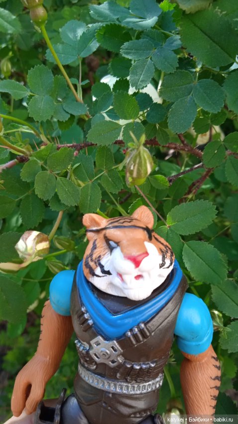 Куто и цветочки — Разные шарнирные куклы (не БЖД): редкие