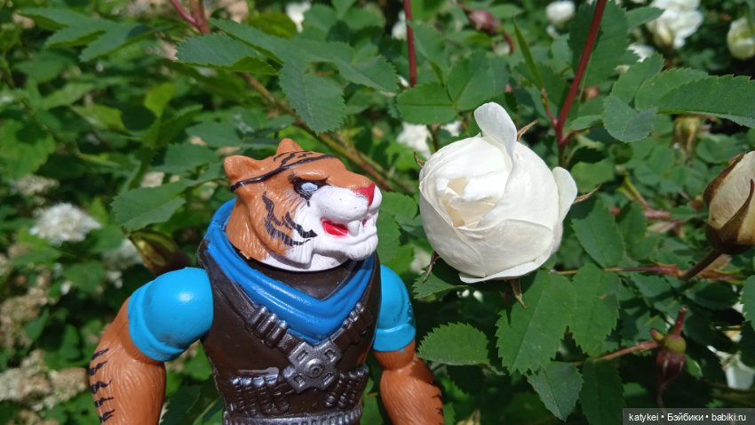 Куто и цветочки — Разные шарнирные куклы (не БЖД): редкие