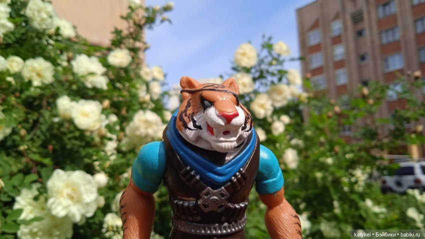 Куто и цветочки — Разные шарнирные куклы (не БЖД): редкие