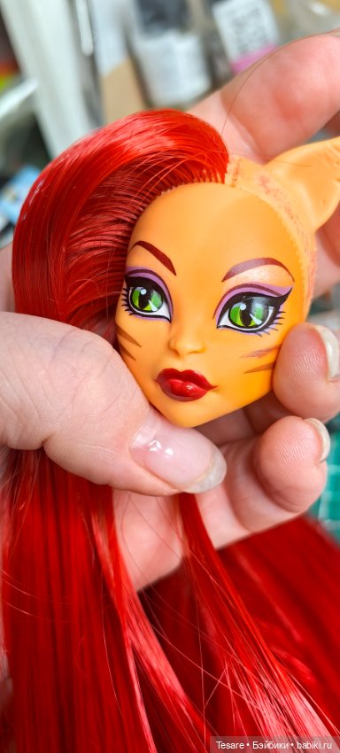 Восстановление. Торалей — Куклы Monster High и Ever After High: G1 (фото 4)