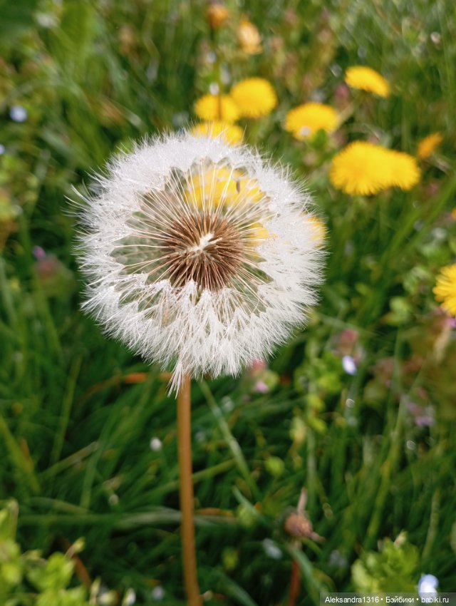 Накопившееся повседневное