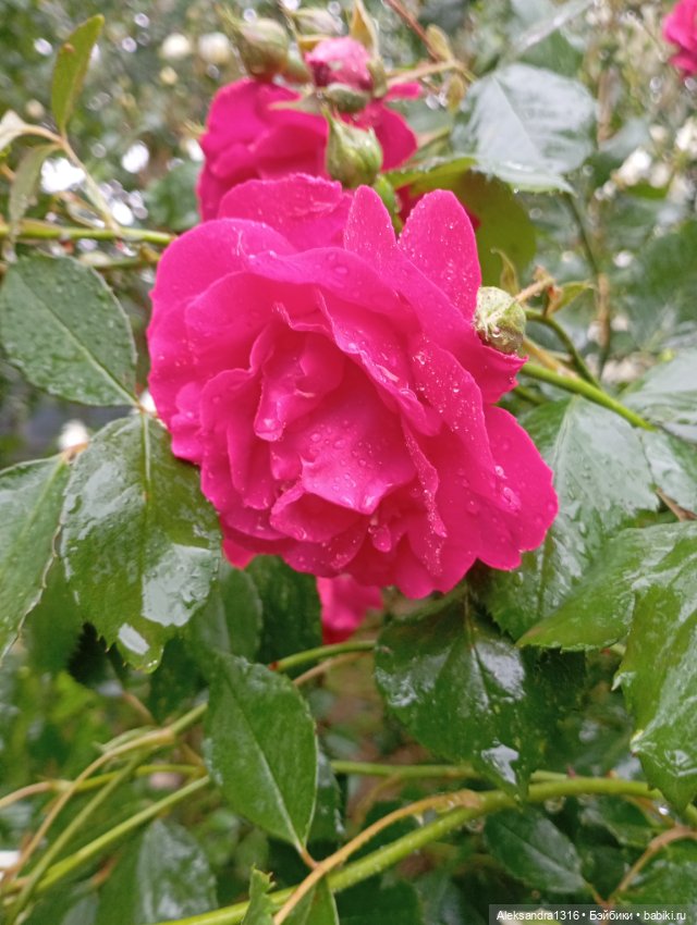 Накопившееся повседневное (фото 4)