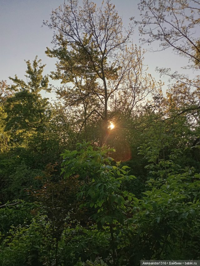 Накопившееся повседневное