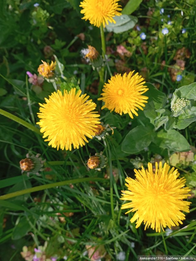 Накопившееся повседневное