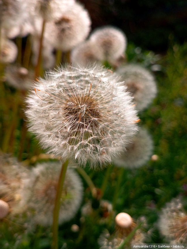 Накопившееся повседневное