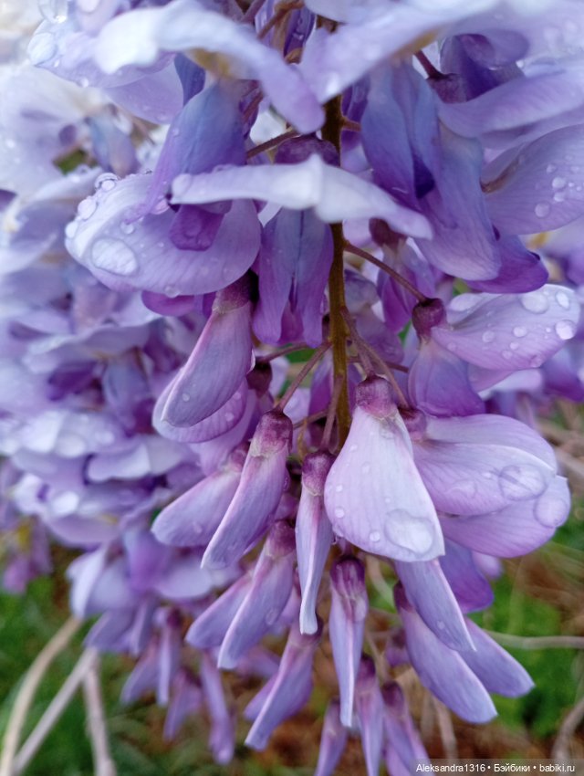 Накопившееся повседневное