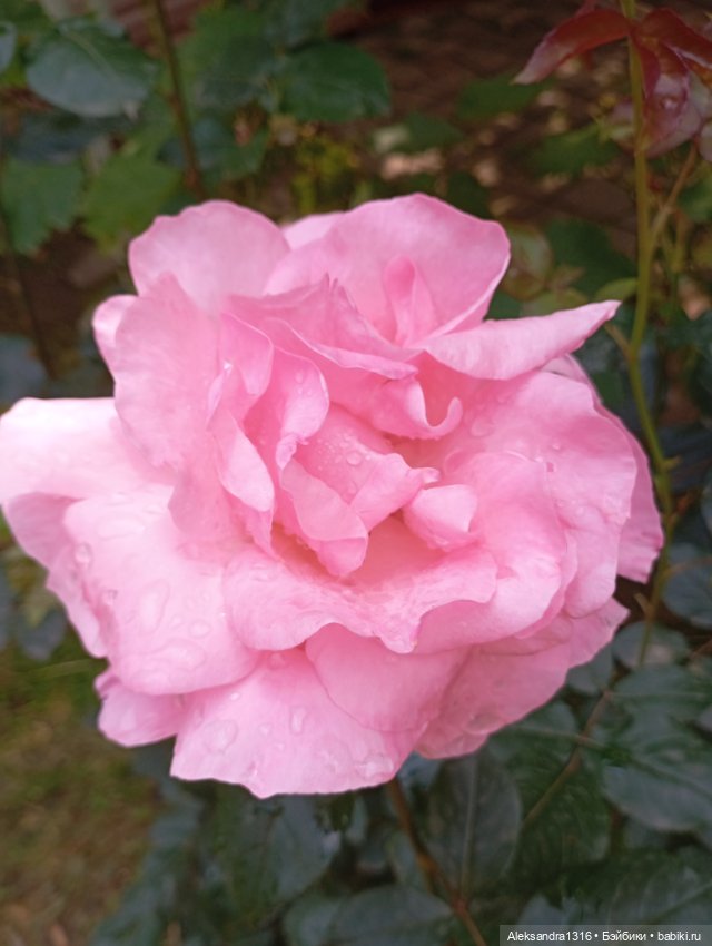 Накопившееся повседневное (фото 5)