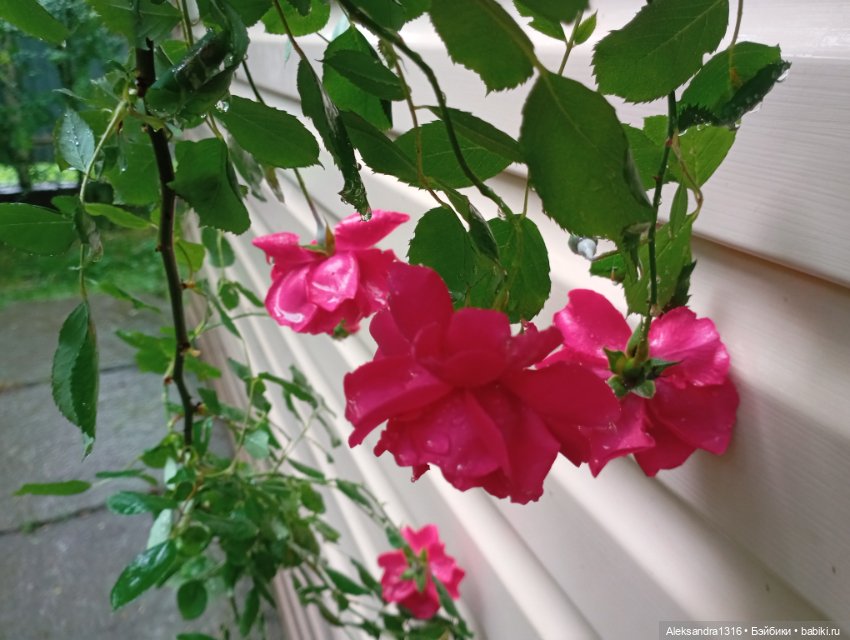 Накопившееся повседневное (фото 10)