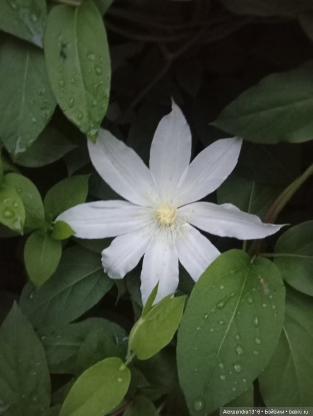 Накопившееся повседневное