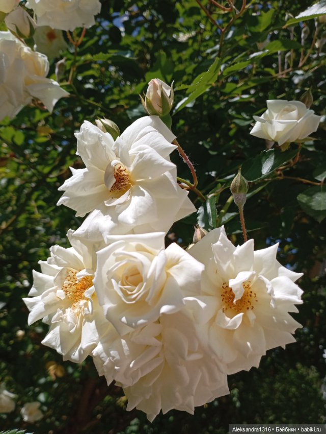 Накопившееся повседневное