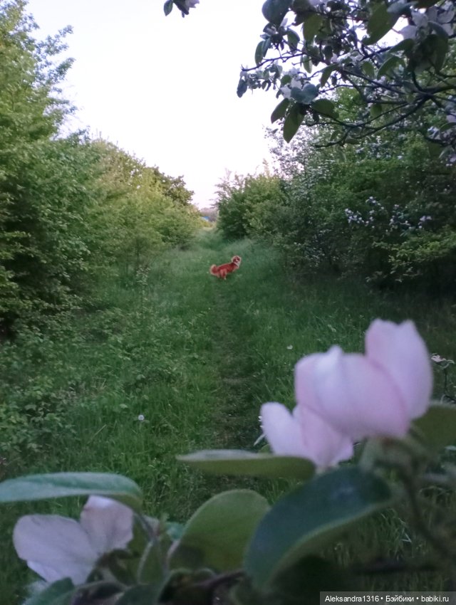 Накопившееся повседневное