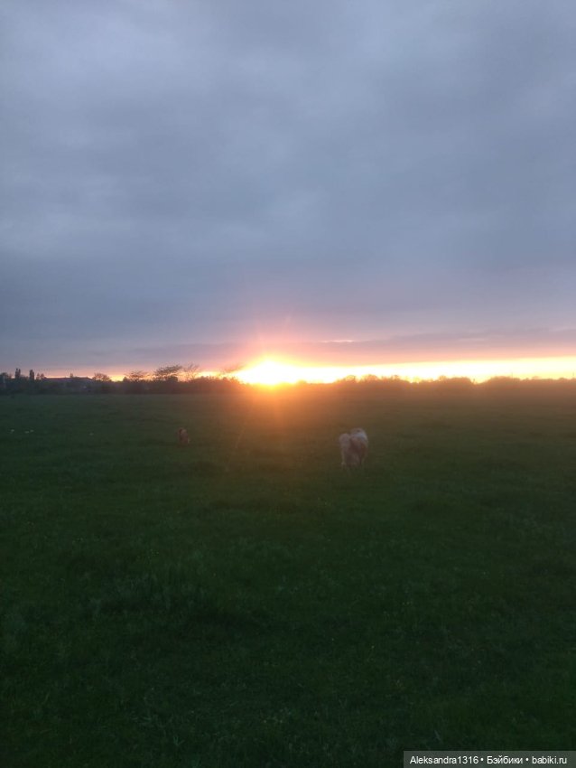 Накопившееся повседневное (фото 2)