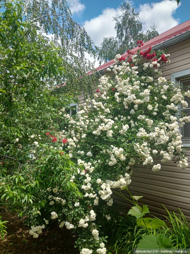 Накопившееся повседневное