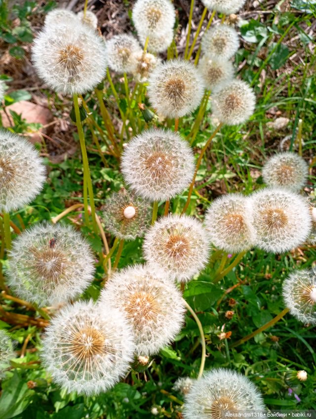 Накопившееся повседневное