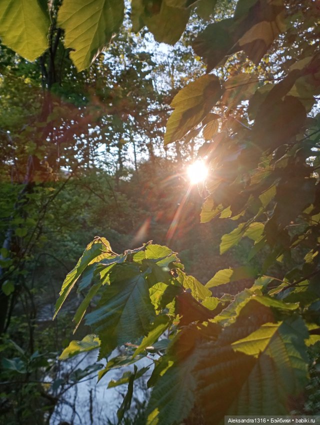 Накопившееся повседневное