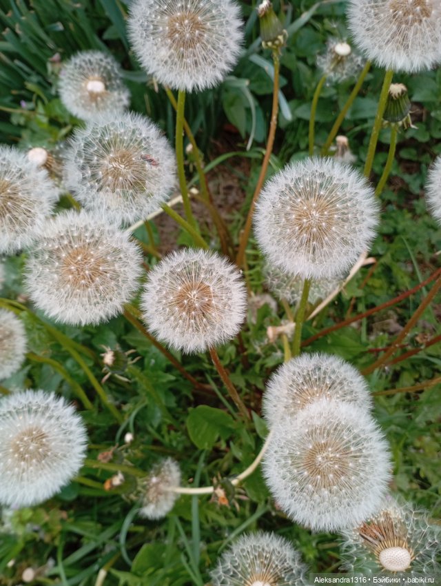 Накопившееся повседневное