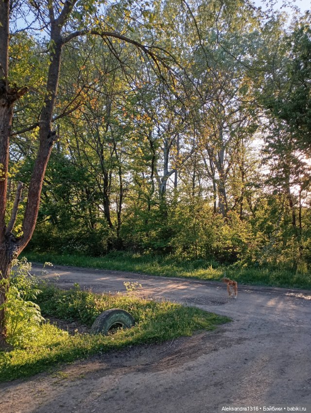 Накопившееся повседневное