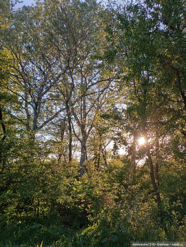 Накопившееся повседневное