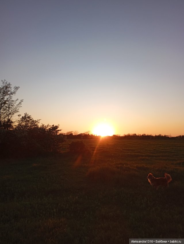 Накопившееся повседневное