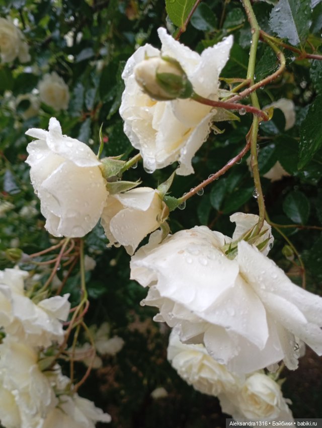 Накопившееся повседневное