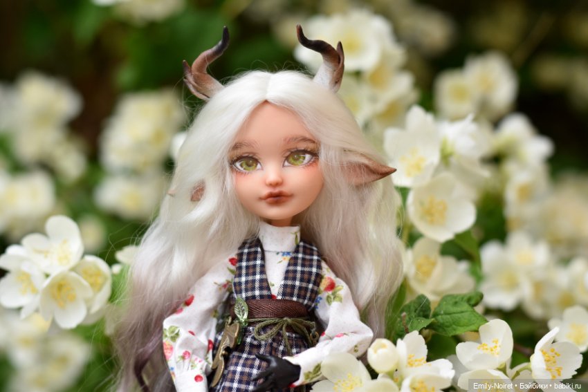 Фото-подборка: Опять жасмин (фото 3)