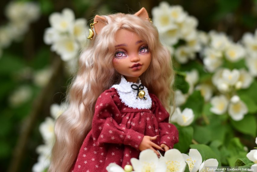 Фото-подборка: Опять жасмин (фото 5)