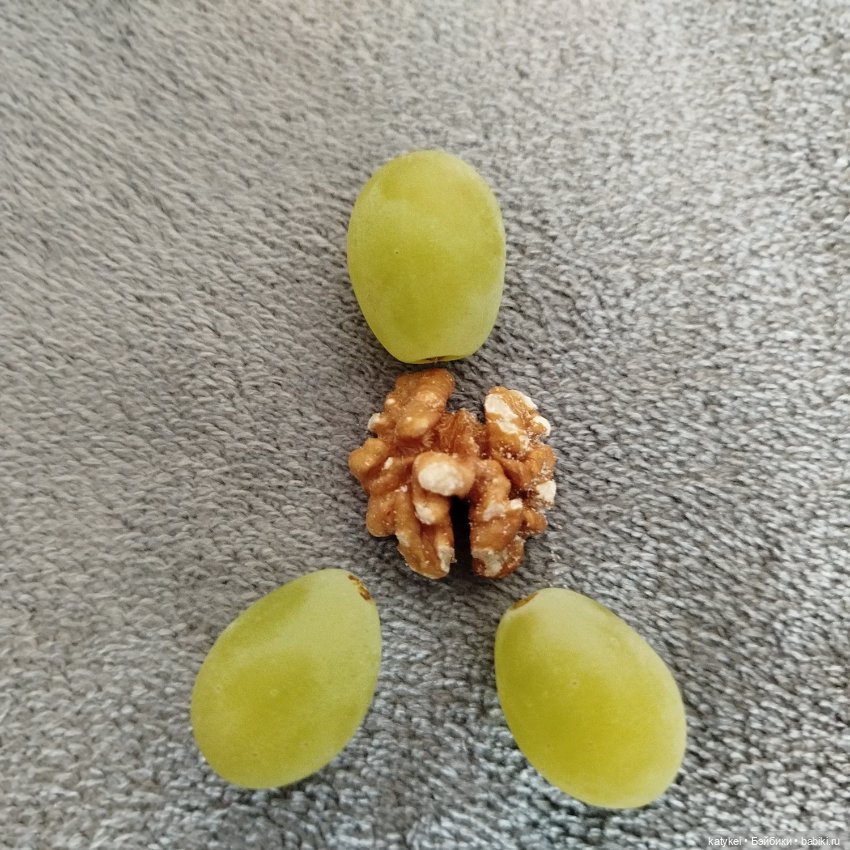 Изюм, критика, Махох и сочинение стихов (фото 6)