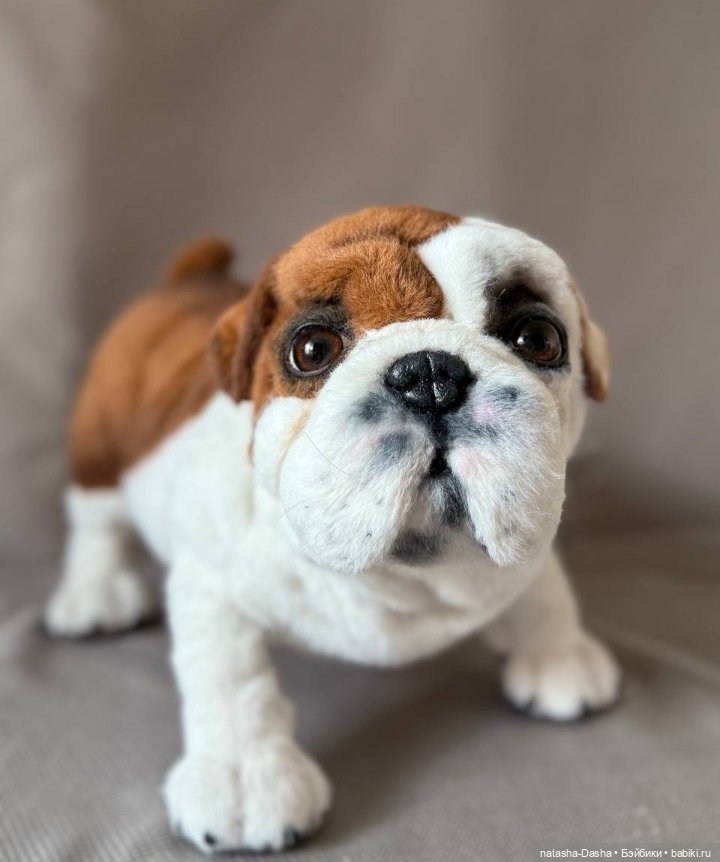 Бульдожка 🐶🐾🐕 — Игрушки в смешанной технике (мех и глина): Арт (фото 5)