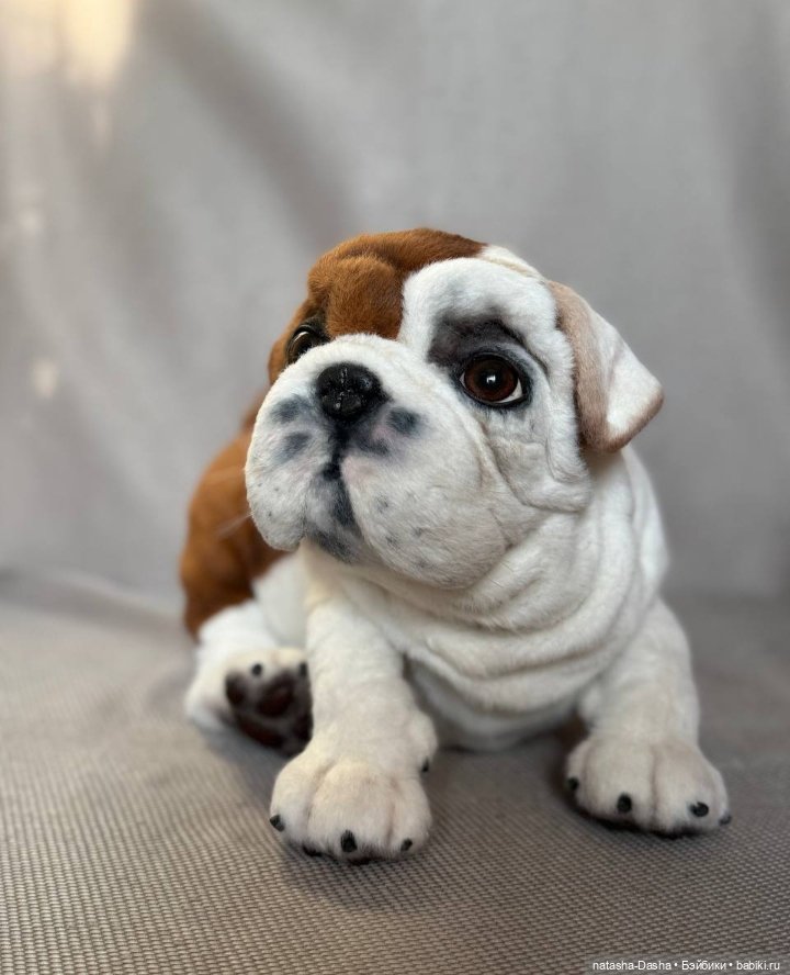 Бульдожка 🐶🐾🐕 — Игрушки в смешанной технике (мех и глина): Арт (фото 7)